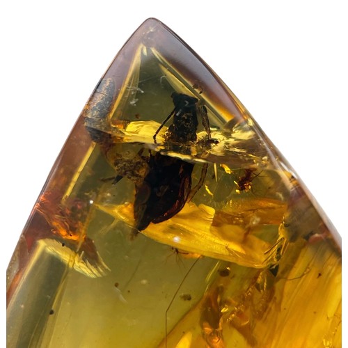 389 - AN UNKNOWN INSECT FOSSIL IN DINOSAUR AGED AMBER,

A large, unusual insect in clear amber. From the a... 