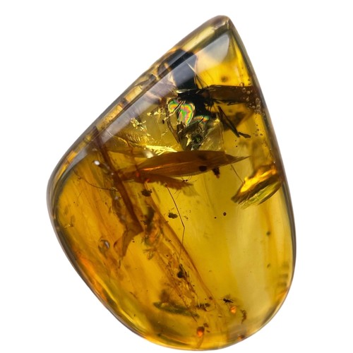 389 - AN UNKNOWN INSECT FOSSIL IN DINOSAUR AGED AMBER,

A large, unusual insect in clear amber. From the a... 