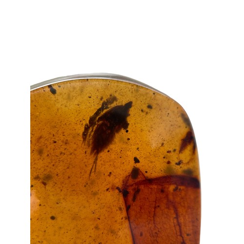 390 - A PARASITIC TICK AND COCKROACH FOSSIL IN DINOSAUR AGED AMBER,

From the amber mines of Kachin, Myanm... 