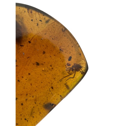 390 - A PARASITIC TICK AND COCKROACH FOSSIL IN DINOSAUR AGED AMBER,

From the amber mines of Kachin, Myanm... 