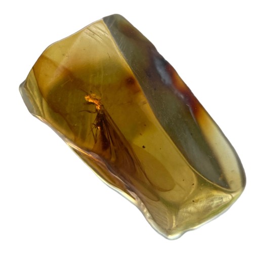 392 - A FLYING INSECT FOSSIL IN DINOSAUR AGED AMBER,

A detailed winged insect. From the amber mines of Ka... 