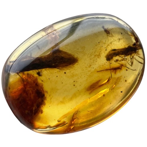 393 - MULTIPLE INSECT FOSSILS IN DINOSAUR AGED AMBER,

A clear amber gem, containing a large winged insect... 