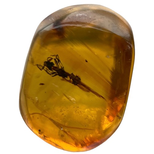 394 - AN ANT FOSSIL IN DINOSAUR AGED AMBER,

A clear amber gem, containing a detailed ant. From the amber ... 