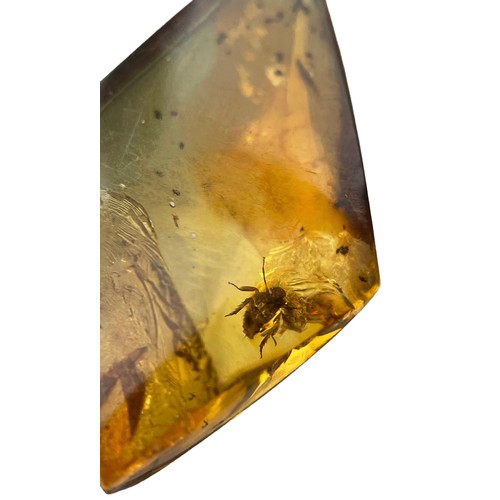 396 - A PARASITIC TICK FOSSIL IN DINOSAUR AGED AMBER,

Highly detailed tick in clear amber. From the amber... 