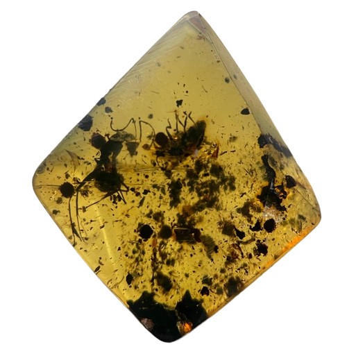 397 - A LARGE ANT FOSSIL IN DINOSAUR AGED AMBER,

A detailed ant, alongside other insect and plant matter.... 