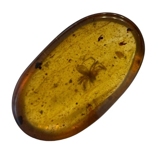 398 - A SPIDER FOSSIL IN DINOSAUR AGED AMBER,

A detailed spider in cretaceous amber. From the amber mines... 