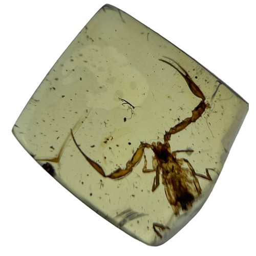 400 - A SCORPION FOSSIL IN DINOSAUR AGED AMBER,

A very rare, detailed scorpion with open pincers. From th... 