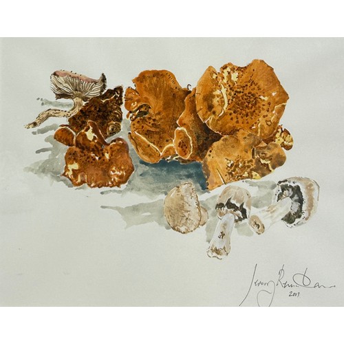 339 - JEREMY REWSE-DAVIES: AN ACRYLIC PAINTING ON PAPER DEPICTING FUNGHI, 

29cm x 23cm

Mounted in a fram... 