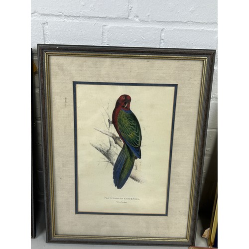 395 - A COLLECTION OF FIVE BIRD PRINTS (5) 

Mostly framed and glazed. One frame and glass damaged. 

Larg... 