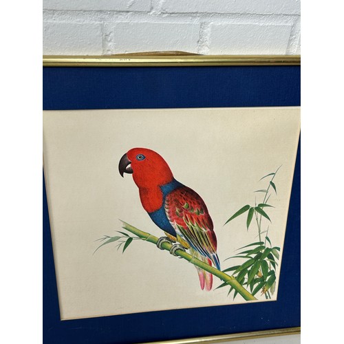 395 - A COLLECTION OF FIVE BIRD PRINTS (5) 

Mostly framed and glazed. One frame and glass damaged. 

Larg... 