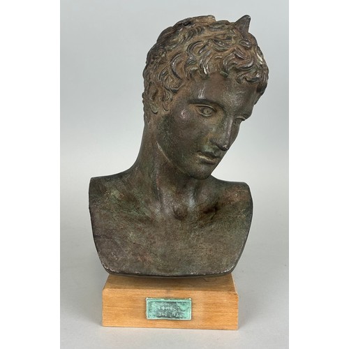 529 - AFTER THE ANTIQUE: A CLASSICAL STYLE FAUX BRONZE PLASTER BUST OF A MAN'S HEAD,

25cm H
29.5cm includ... 