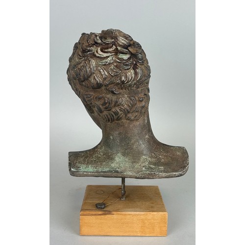 529 - AFTER THE ANTIQUE: A CLASSICAL STYLE FAUX BRONZE PLASTER BUST OF A MAN'S HEAD,

25cm H
29.5cm includ... 