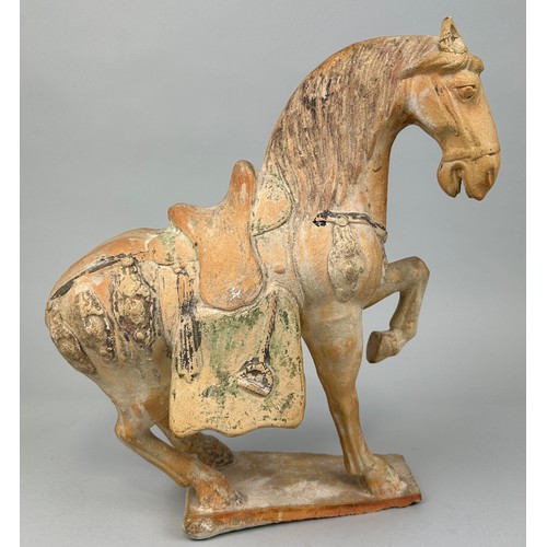 66 - A CHINESE POTTERY HORSE FIGURE IN THE TANG STYLE, 

35cm x 30cm