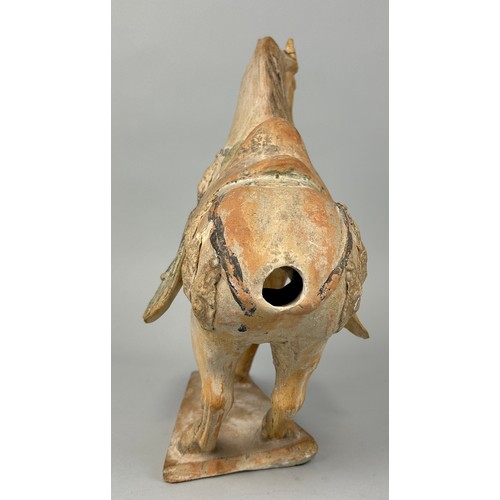 66 - A CHINESE POTTERY HORSE FIGURE IN THE TANG STYLE, 

35cm x 30cm