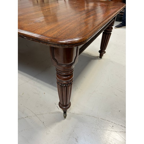 444 - A LARGE WILLIAM IV DINING TABLE WITH TWO LEAFS RAISED ON TURNED LEGS AND CASTORS,

225cm x 120cm x 7... 