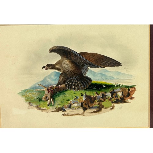 320 - A 19TH CENTURY WATERCOLOUR ON PAPER PAINTING DEPICTING A GOLDEN EAGLE CATCHING A HARE, ALONG WITH AN... 