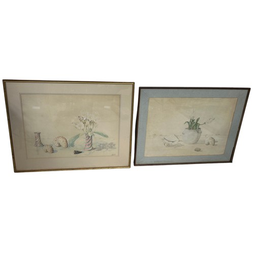 301 - PATRICK HOCKEY (1948-1992): A PAIR OF WATERCOLOUR PAINTINGS ON PAPER DEPICTING AUSTRALIAN SHELLS AND... 