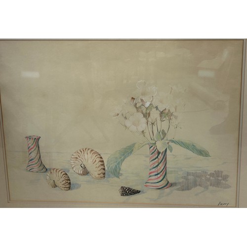 301 - PATRICK HOCKEY (1948-1992): A PAIR OF WATERCOLOUR PAINTINGS ON PAPER DEPICTING AUSTRALIAN SHELLS AND... 