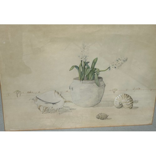 301 - PATRICK HOCKEY (1948-1992): A PAIR OF WATERCOLOUR PAINTINGS ON PAPER DEPICTING AUSTRALIAN SHELLS AND... 