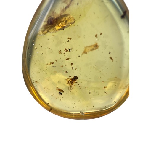 569 - A FOSSIL FLY IN DINOSAUR AGED BURMESE AMBER

A highly detailed fly, alongside others in clear amber.... 