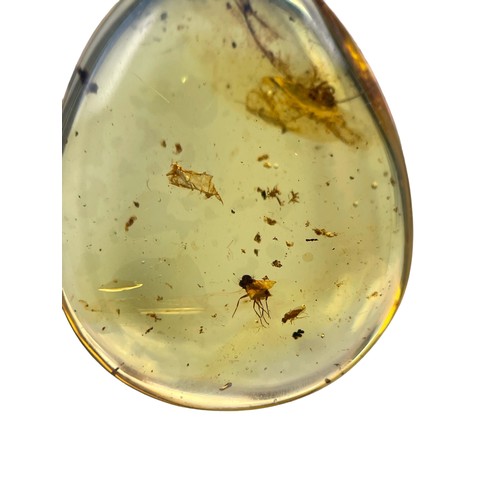 569 - A FOSSIL FLY IN DINOSAUR AGED BURMESE AMBER

A highly detailed fly, alongside others in clear amber.... 