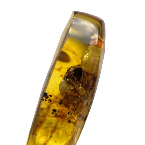 570 - A FOSSIL BEETLE IN DINOSAUR AGED BURMESE AMBER

This beetle exhibits excellent detail, from differen... 