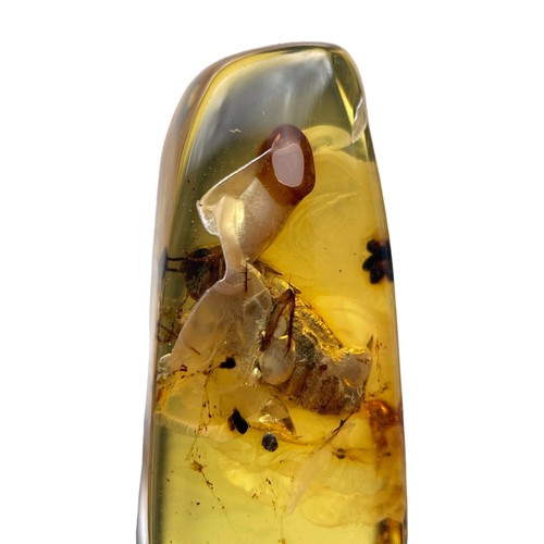 570 - A FOSSIL BEETLE IN DINOSAUR AGED BURMESE AMBER

This beetle exhibits excellent detail, from differen... 