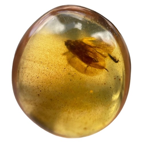 573 - A FLYING INSECT FOSSIL IN DINOSAUR AGED BURMESE AMBER

A detailed winged insect fossil in clear ambe... 