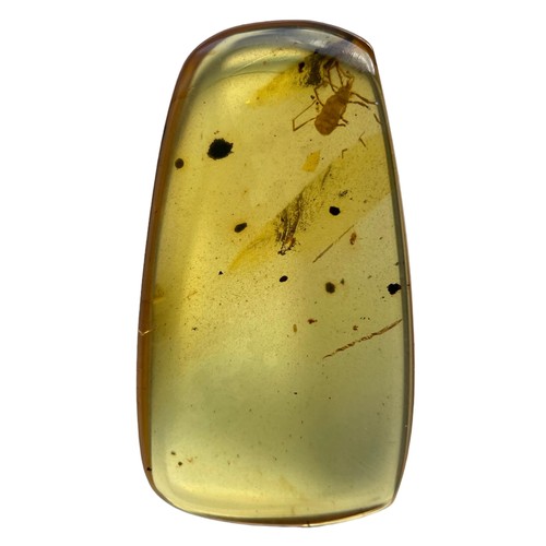 574 - AN UNKNOWN INSECT FOSSIL IN DINOSAUR AGED BURMESE AMBER

A highly unusual insect in clear amber. Pol... 