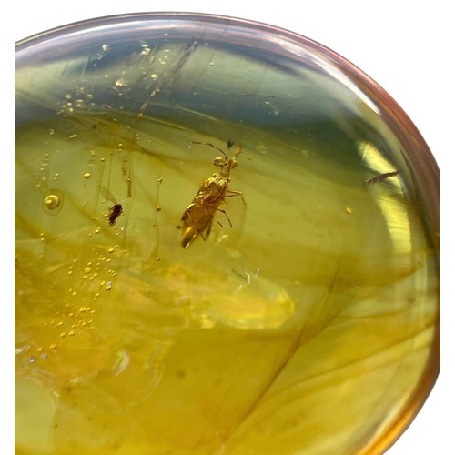 575 - AN UNKNOWN INSECT FOSSIL IN DINOSAUR AGED BURMESE AMBER

A highly unusual insect in clear amber, pos... 