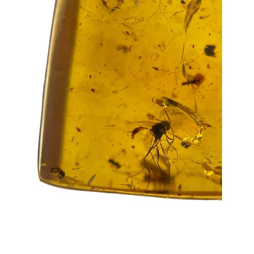 577 - A FOSSIL MOSQUITO IN DINOSAUR AGED BURMESE AMBER

Mosquito remains in amber are highly uncommon comp... 