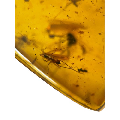 577 - A FOSSIL MOSQUITO IN DINOSAUR AGED BURMESE AMBER

Mosquito remains in amber are highly uncommon comp... 