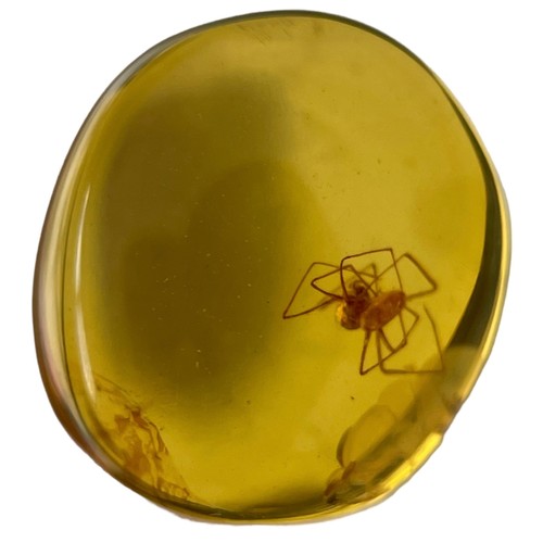 579 - A SPIDER FOSSIL IN DINOSAUR AGED BURMESE AMBER

A highly detailed spider in cretaceous amber. Polish... 