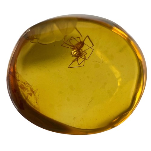 579 - A SPIDER FOSSIL IN DINOSAUR AGED BURMESE AMBER

A highly detailed spider in cretaceous amber. Polish... 