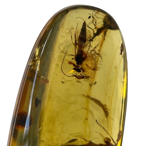 580 - A MANTID AND WASP FOSSIL IN DINOSAUR AGED BURMESE AMBER

A pair of very well-preserved insects in cl... 