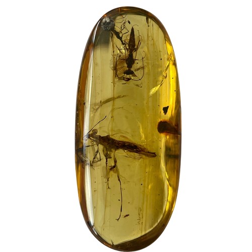 580 - A MANTID AND WASP FOSSIL IN DINOSAUR AGED BURMESE AMBER

A pair of very well-preserved insects in cl... 