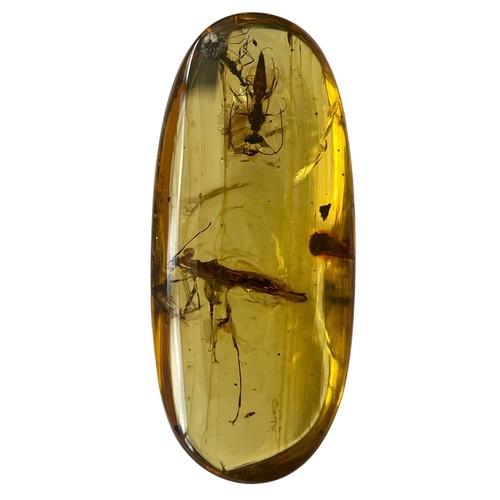 580 - A MANTID AND WASP FOSSIL IN DINOSAUR AGED BURMESE AMBER

A pair of very well-preserved insects in cl... 