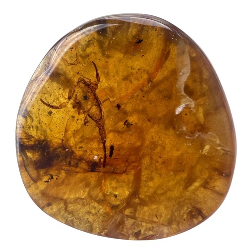 581 - A SCORPION FOSSIL IN DINOSAUR AGED BURMESE AMBER

An exceptionally rare and detailed scorpion. Amber... 