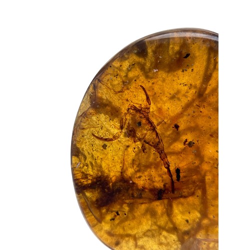 581 - A SCORPION FOSSIL IN DINOSAUR AGED BURMESE AMBER

An exceptionally rare and detailed scorpion. Amber... 