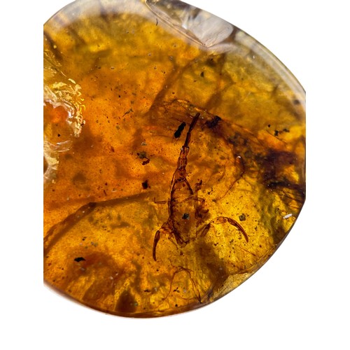 581 - A SCORPION FOSSIL IN DINOSAUR AGED BURMESE AMBER

An exceptionally rare and detailed scorpion. Amber... 