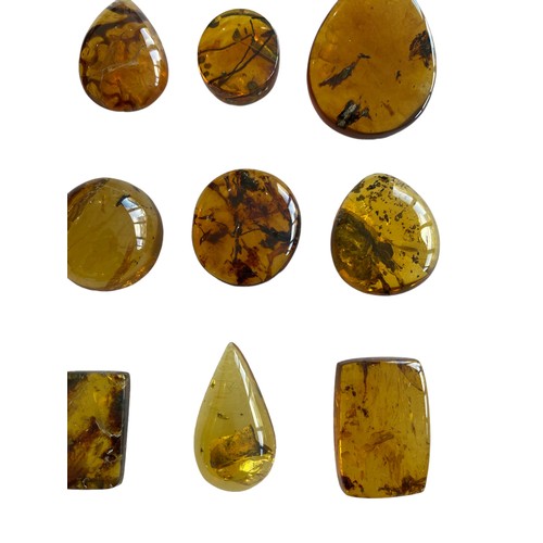 582 - A GROUPING OF PLANT FOSSILS IN DINOSAUR AGED BURMESE AMBER

A fantastic grouping of 12 botanical inc... 