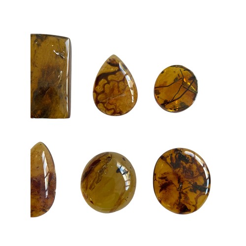 582 - A GROUPING OF PLANT FOSSILS IN DINOSAUR AGED BURMESE AMBER

A fantastic grouping of 12 botanical inc... 