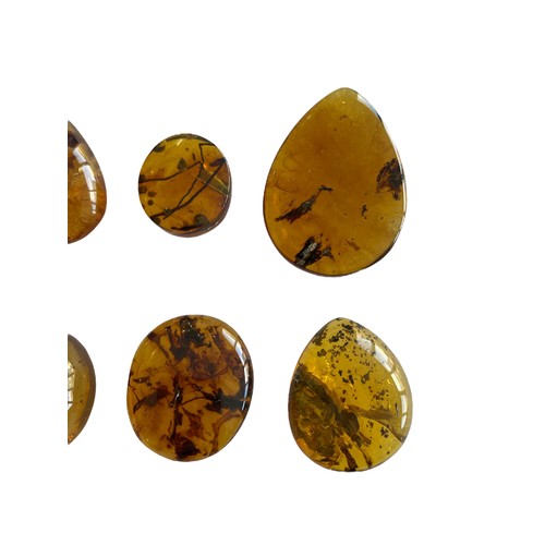 582 - A GROUPING OF PLANT FOSSILS IN DINOSAUR AGED BURMESE AMBER

A fantastic grouping of 12 botanical inc... 