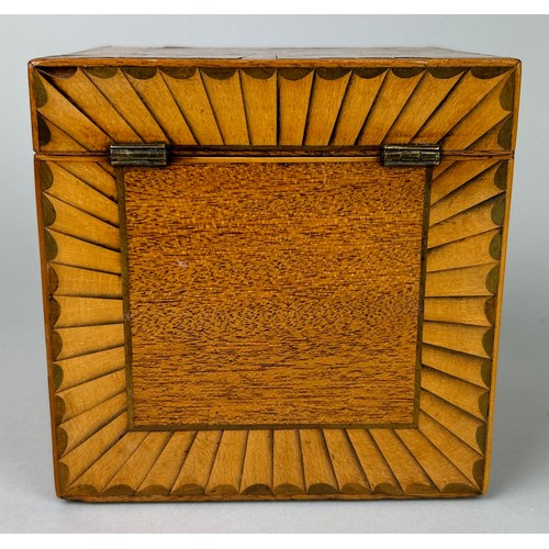 25 - A REGENCY PERIOD INLAID SHERATON DESIGN PEAR WOOD AND SATINWOOD INLAID TEA CADDY WITH MARQUETRY INLA... 