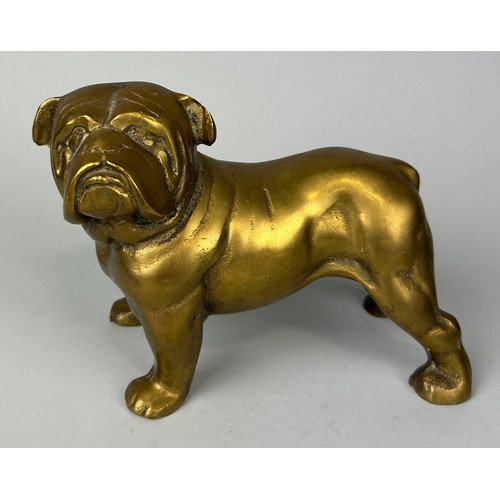 235 - A BRONZE SCULPTURE OF A BULLDOG, 

23cm x 15cm