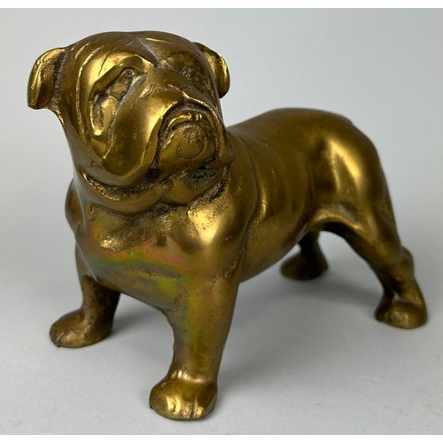 235 - A BRONZE SCULPTURE OF A BULLDOG, 

23cm x 15cm