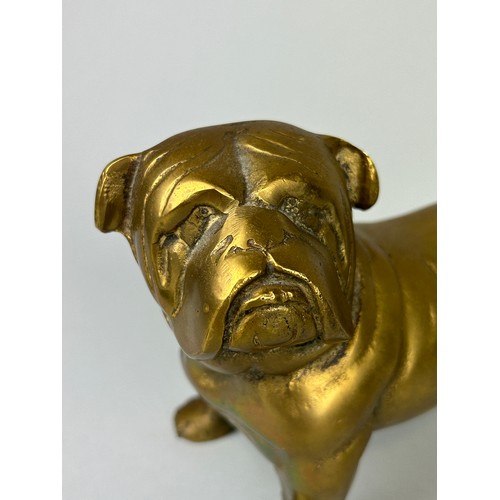 235 - A BRONZE SCULPTURE OF A BULLDOG, 

23cm x 15cm