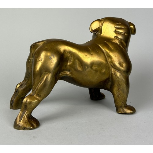 235 - A BRONZE SCULPTURE OF A BULLDOG, 

23cm x 15cm