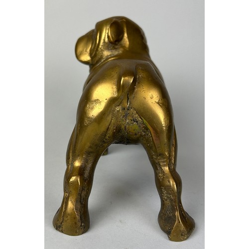 235 - A BRONZE SCULPTURE OF A BULLDOG, 

23cm x 15cm