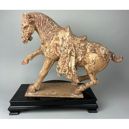 1 - A CHINESE TANG STYLE TERRACOTTA HORSE WITH TRACES OF PIGMENT, 

48cm x 38cm x 14cm

Sitting on a woo... 